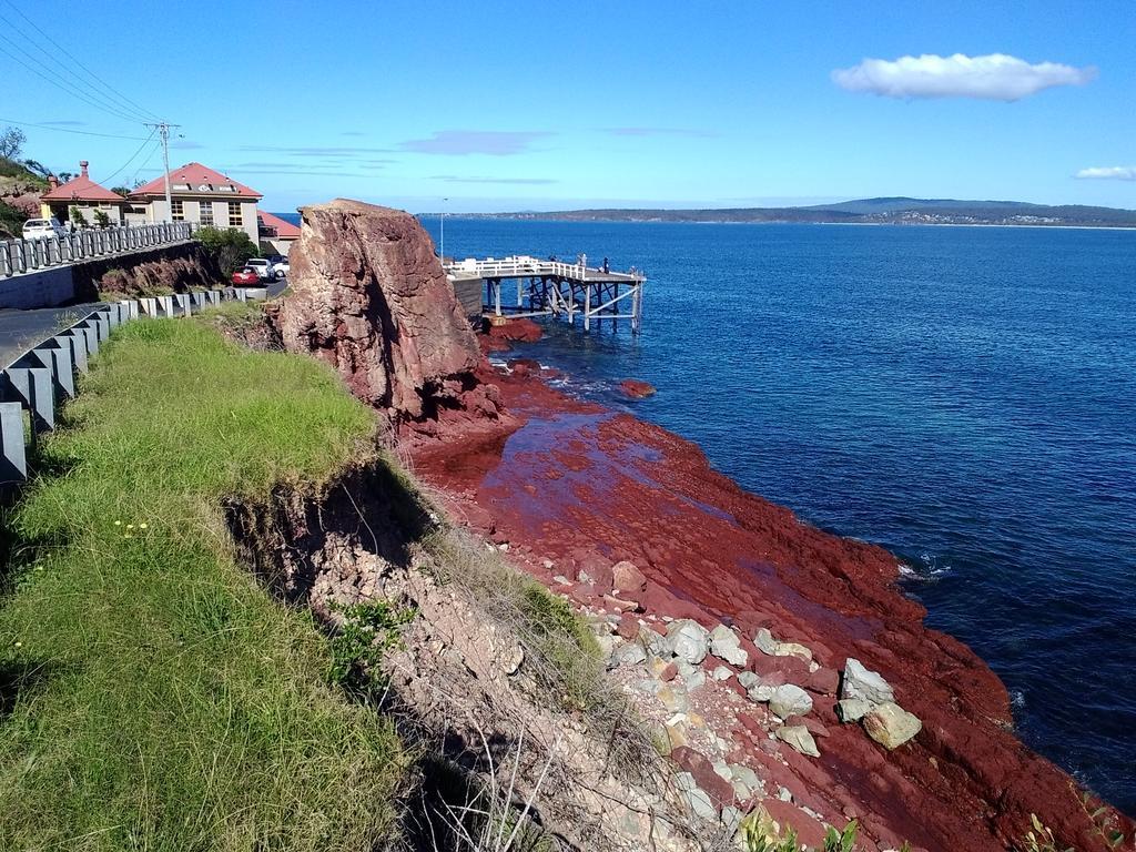 Como Lodge Merimbula Εξωτερικό φωτογραφία